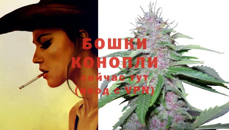 Бошки Шишки THC 21%  Почеп 